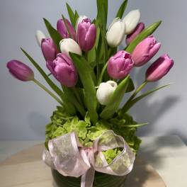 Pink and white tulips arranged in a round vase with a ribbon bow