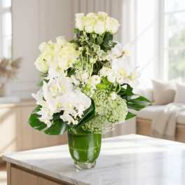 Treasure in White (DB)