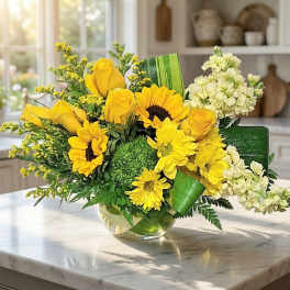 Spectacular Sunlight (DB)