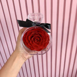 Single red rose in a clear round gift box with a black ribbon