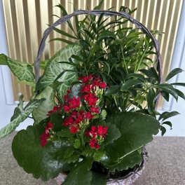Basket garden with flowering plant
