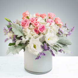 Sweet Cream by BloomNation™
