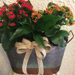Potted flowering plant with red and orange blooms in a metal container