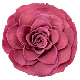 Close-up of a single pink rose bloom on a white background