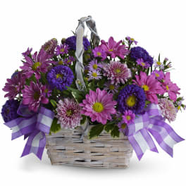 Daisy Daydreams by Teleflora