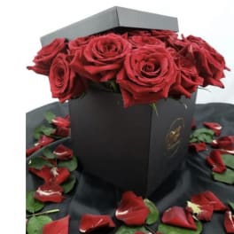 Red roses arranged in a black gift box with scattered petals