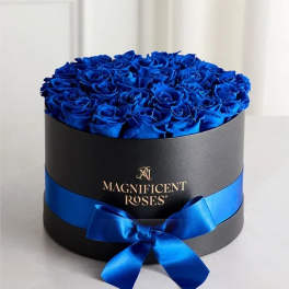 Blue roses arranged in a black round box with a blue ribbon