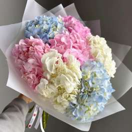 Mothers Day Pastel Hydrangea Bouquet-7 pieces