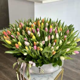 Large bouquet of multicolored tulips in a silver vase