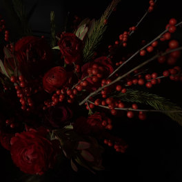 Red roses with berry branches and pine sprigs on a dark background