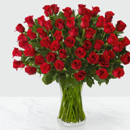 Fifty Long Stem Red Roses - GLASS VASE INCLUDED