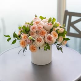 Peach & Pink O'Hara Roses Harmony Box