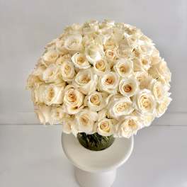 100 White Roses Grand Vase