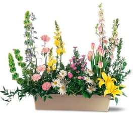 TF199-8 Springtime Splendor