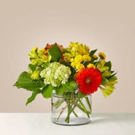 Low mixed bouquet of yellow blooms, green hydrangea, and a red gerbera daisy in a clear glass vase