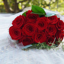 Bouquet of red roses wrapped in clear plastic