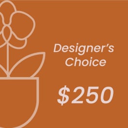 Orange designer's choice gift card with $250 text