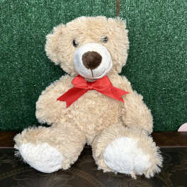 Beige teddy bear with a red ribbon sitting against a green backdrop