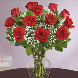 Dozen Long Stemmed Red Roses
