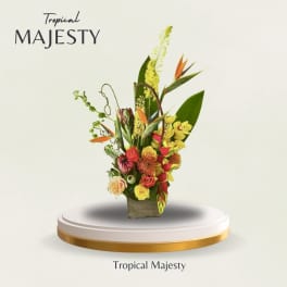 Tall tropical bouquet with orange bird-of-paradise and mixed blooms in a square vase