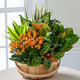 Orange flowers in a wooden basket with tropical leaves