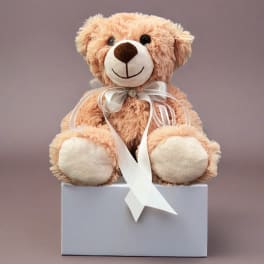 Plush teddy bear with a white ribbon sitting on a box