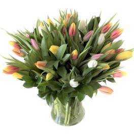 50 Tulips assorted color arranged in a glass vase