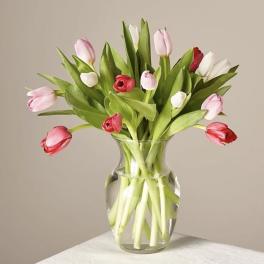 Bouquet of pink, red, and white tulips in a clear glass vase