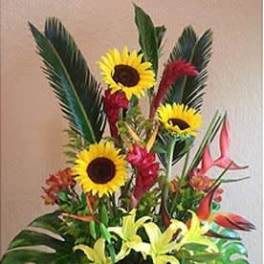 Tropic Elegance