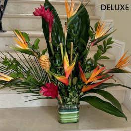 Up Up and Away with Tropical Flowers