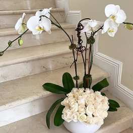 2 Orchids arranged with White Roses in a ceramic container.
