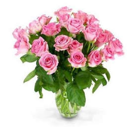 24 Pink Roses arranged in a glass vase