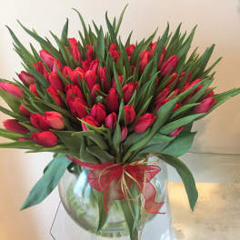 100 Red Tulips