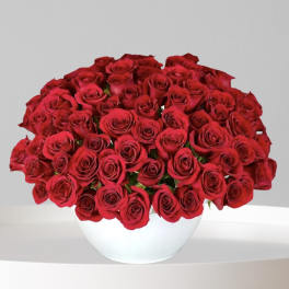 A large bouquet of red roses in a white bowl vase.