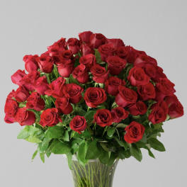 Bouquet of red roses in a clear glass vase
