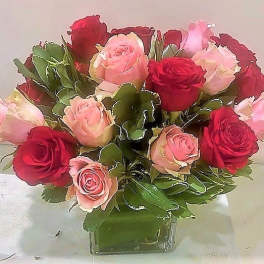 24 Roses Red and Pink arranged in a square glass vase