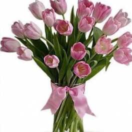 20 Pink Tulips arranged in a vase