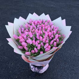 Bouquet of pink tulips wrapped in white and pink paper