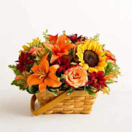 Basket arrangement with orange lilies, sunflowers, and red flowers