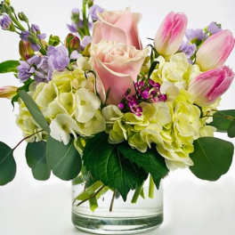 Blush & Bloom