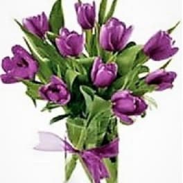 Purple tulip bouquet tied with a ribbon