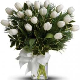 20 White Tulips and Pine