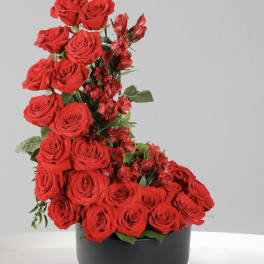 Red roses and red alstroemeria arranged in a black round box