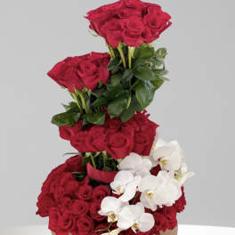 Tiered arrangement of red roses with white orchids in a round box