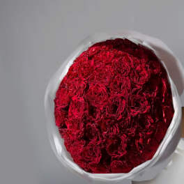 Large bouquet of red roses wrapped in white paper