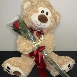Bear Hugs by Chasing Petals