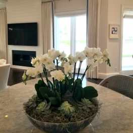 White orchids arranged in a low bowl centerpiece on a table