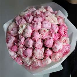 Bouquet of pink peonies wrapped in white paper