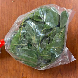 Bag of green leaves wrapped in clear plastic