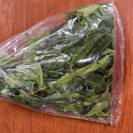 Plastic-wrapped bundle of green leafy stems on a wooden surface